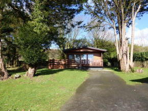 Birch Lodge 23 with Hot Tub Newton Stewart